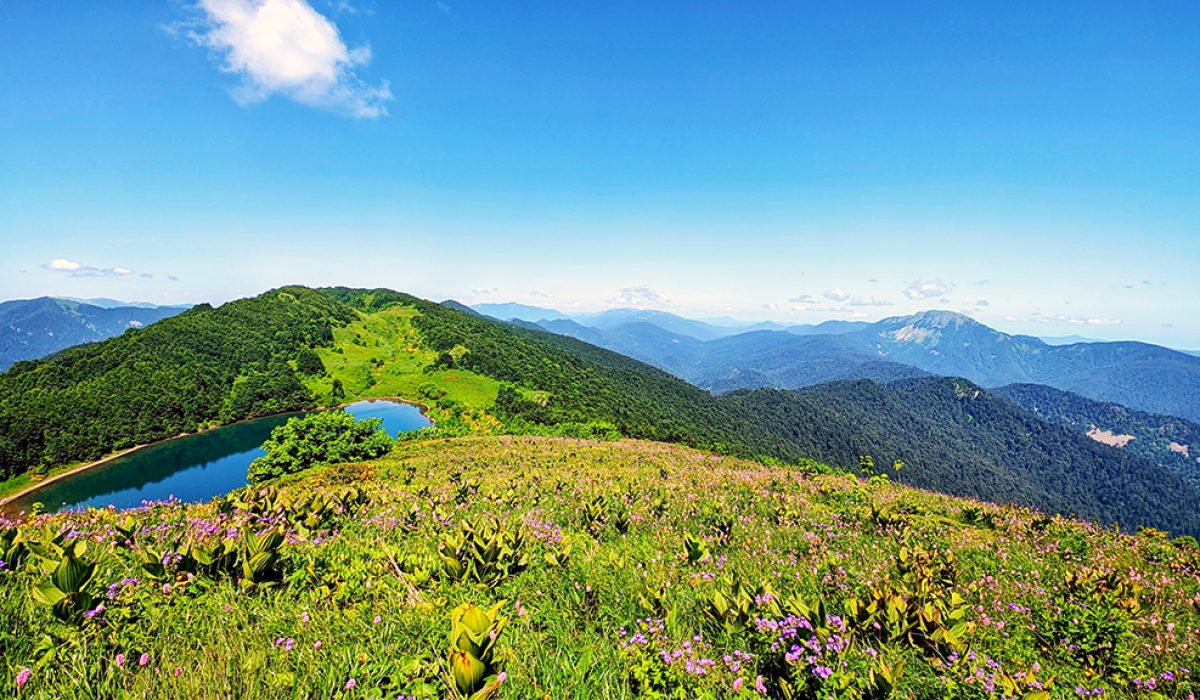 sochi (1)