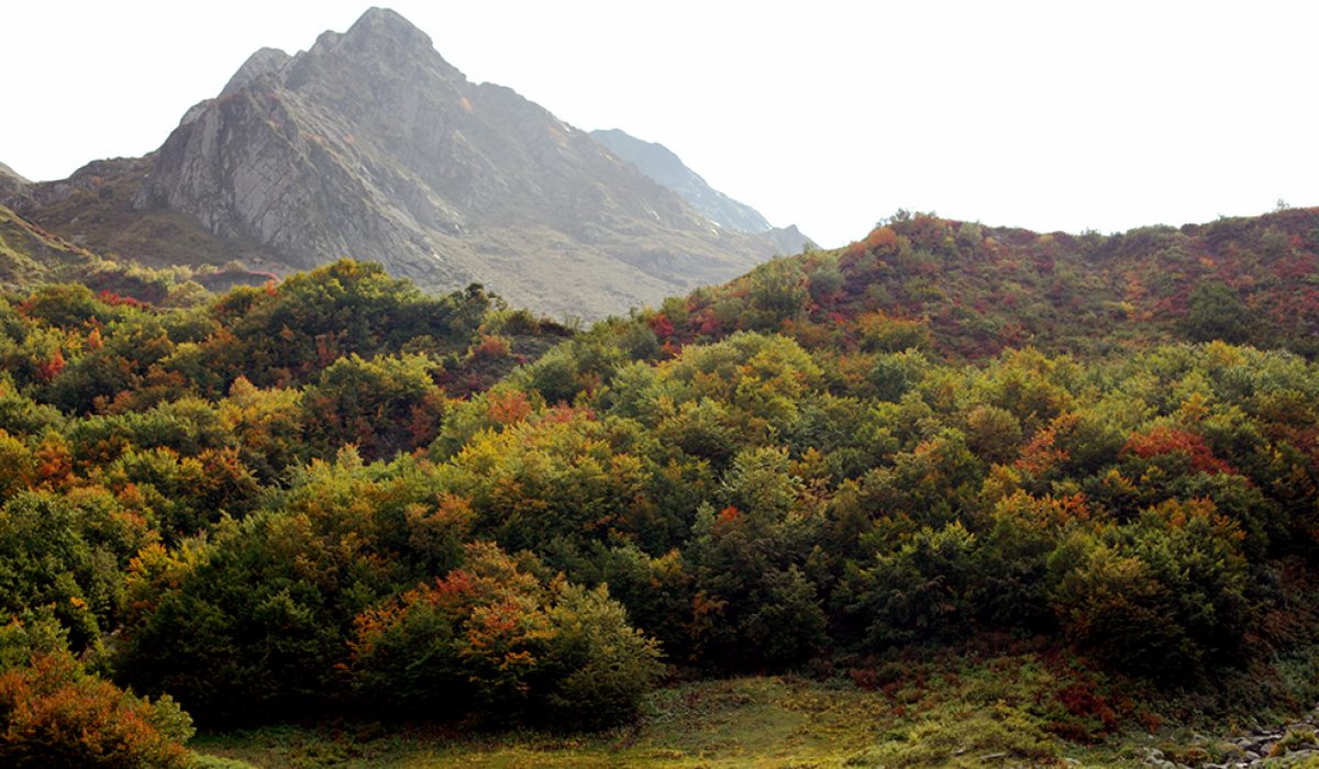 sochi (2)