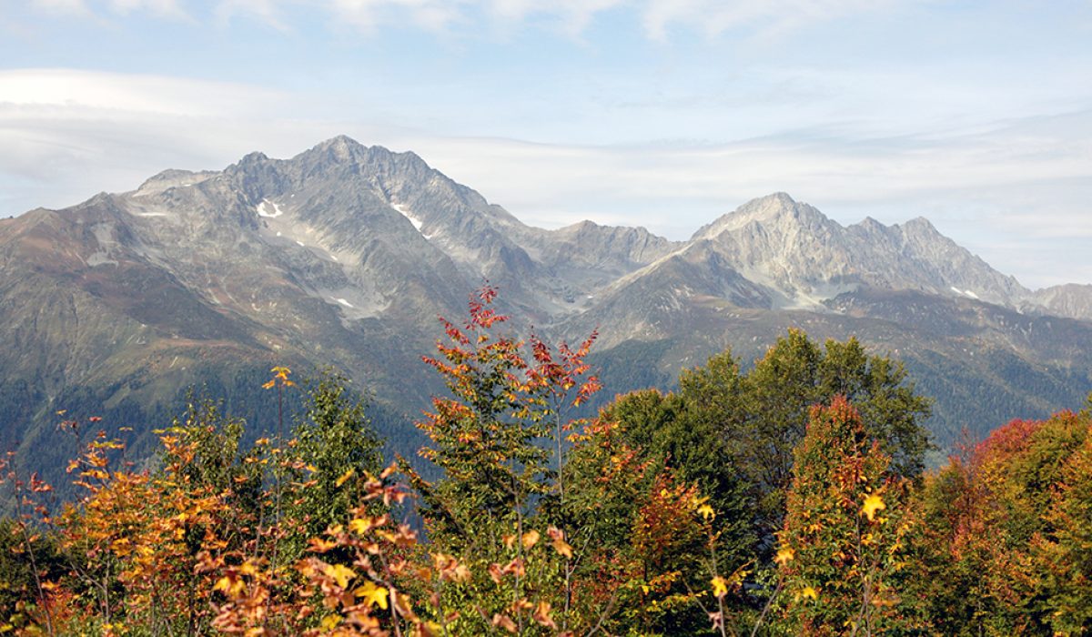 sochi (3)