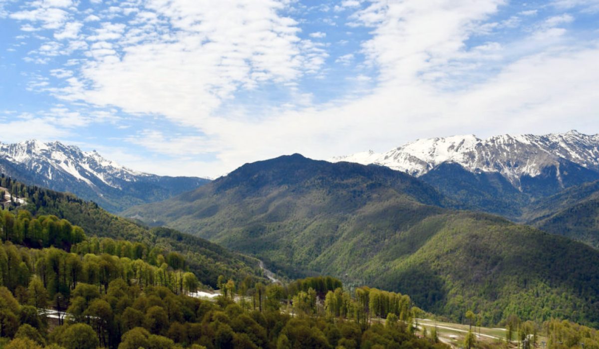 sochi (4)