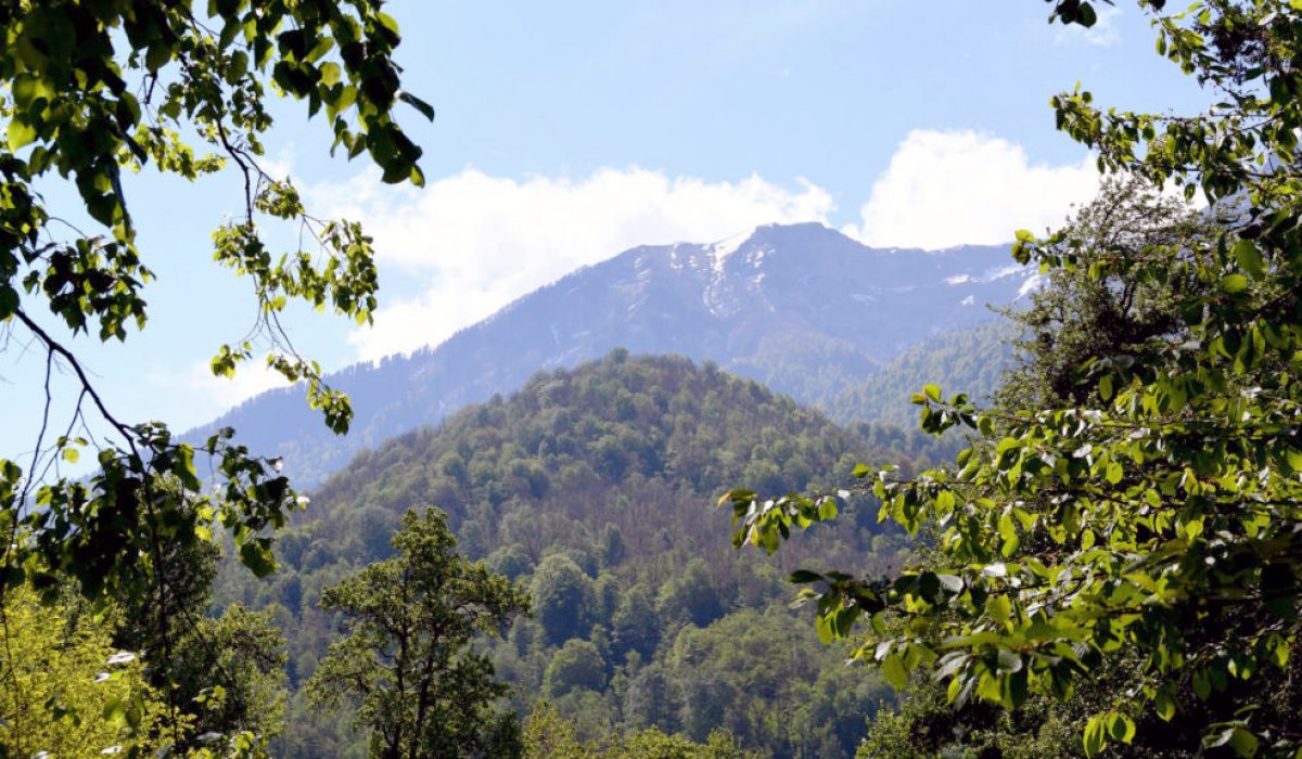 sochi (5)