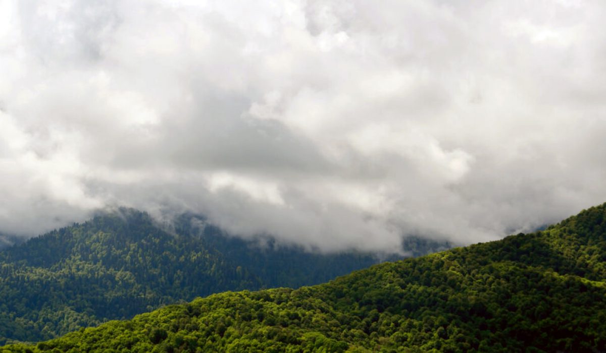 sochi (6)